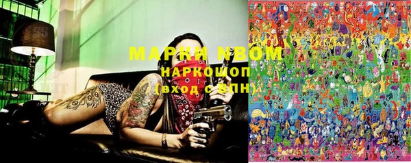 ПСИЛОЦИБИНОВЫЕ ГРИБЫ Баксан