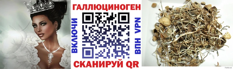 omg ССЫЛКА  Избербаш  Галлюциногенные грибы мицелий 
